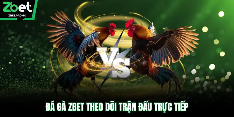 Đá gà ZBET theo dõi trận đấu trực tiếp