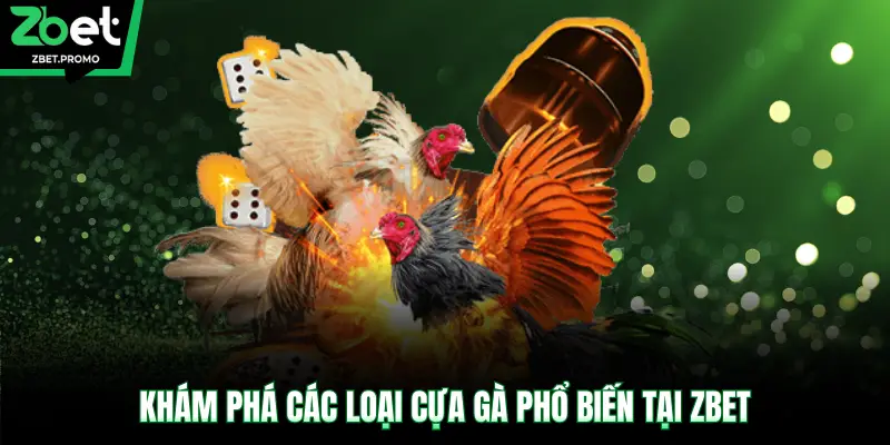 Khám phá các loại cựa gà phổ biến tại ZBET