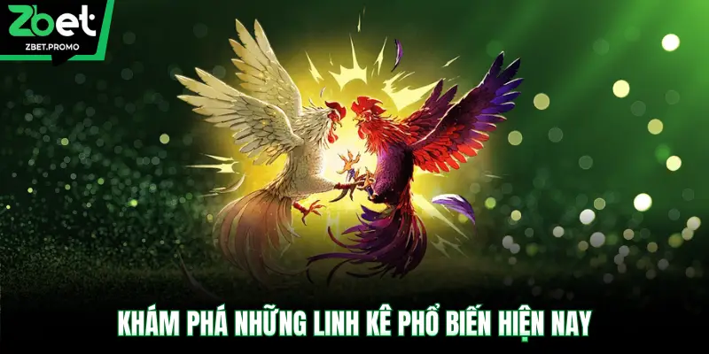 Khám phá những linh kê phổ biến hiện nay